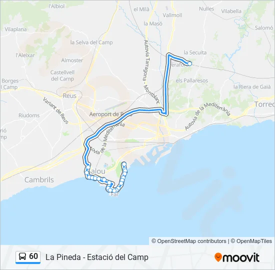 60 Bus Line Map