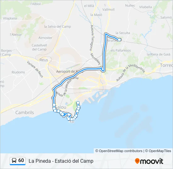 60 Bus Line Map