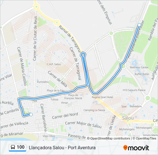100 Bus Line Map