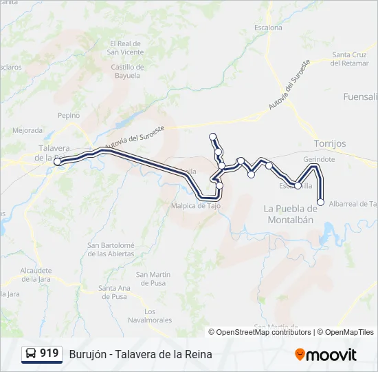919 Bus Line Map
