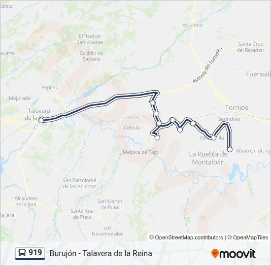 919 Bus Line Map