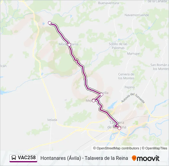 VAC258 Bus Line Map