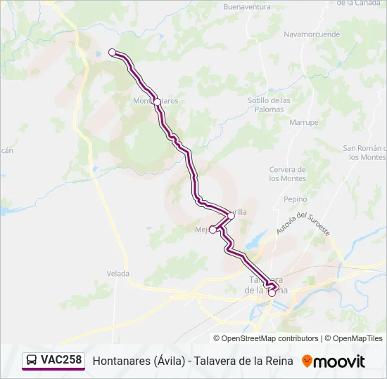 VAC258 Bus Line Map