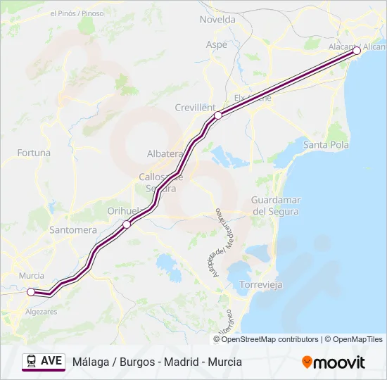 AVE Train Line Map