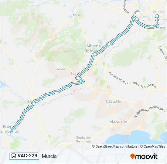 VAC-229 Bus Line Map