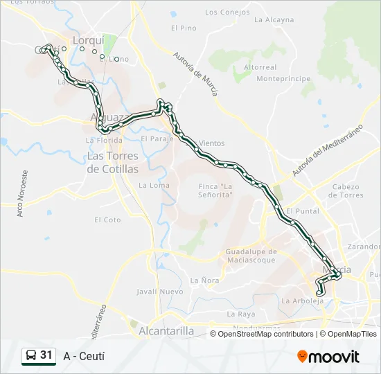 31 Bus Line Map