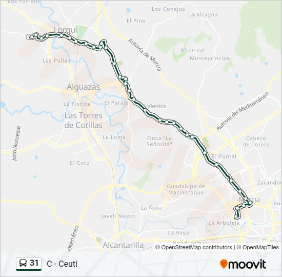 31 Bus Line Map