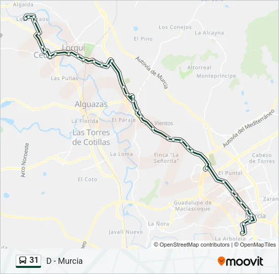31 Bus Line Map