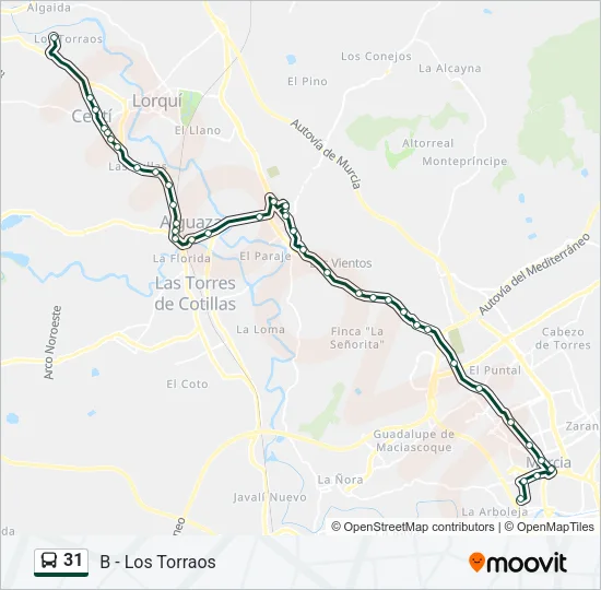 31 Bus Line Map