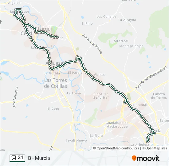 31 Bus Line Map