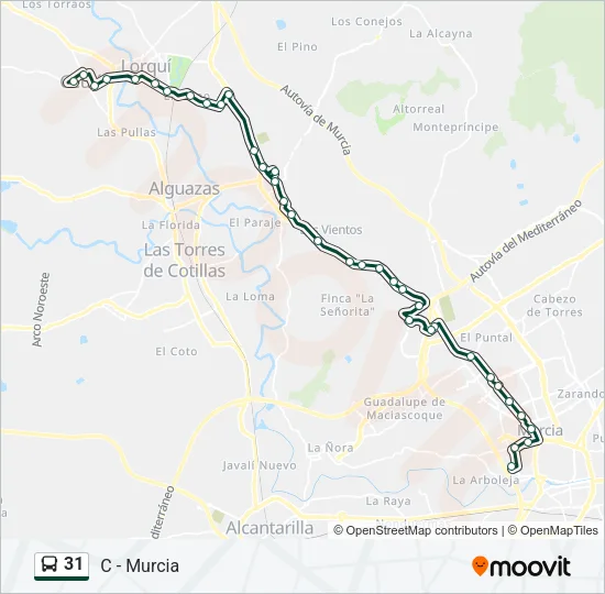 31 Bus Line Map