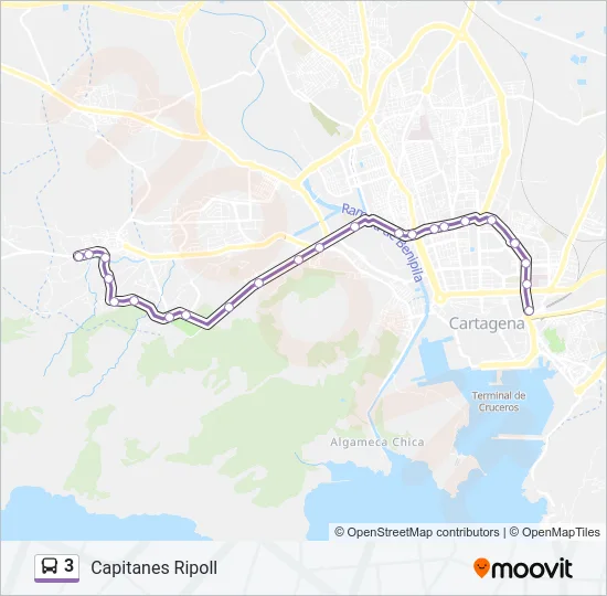 3 Bus Line Map