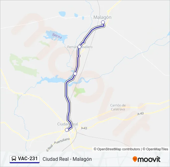 VAC-231 Bus Line Map