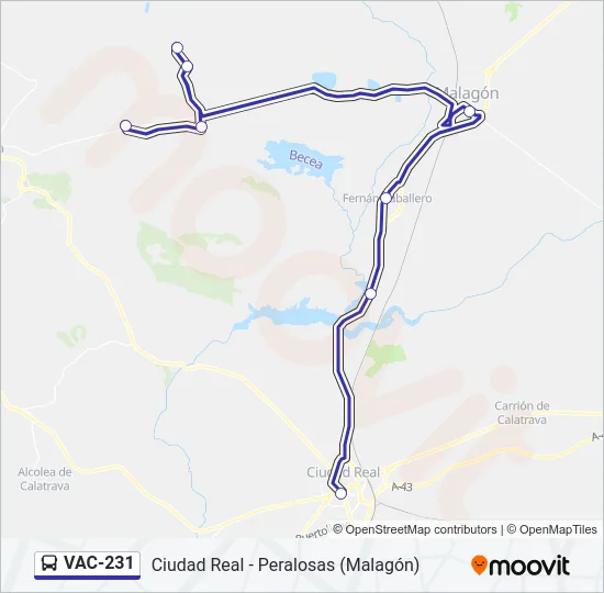 VAC-231 Bus Line Map