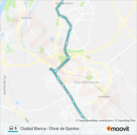 6 Bus Line Map