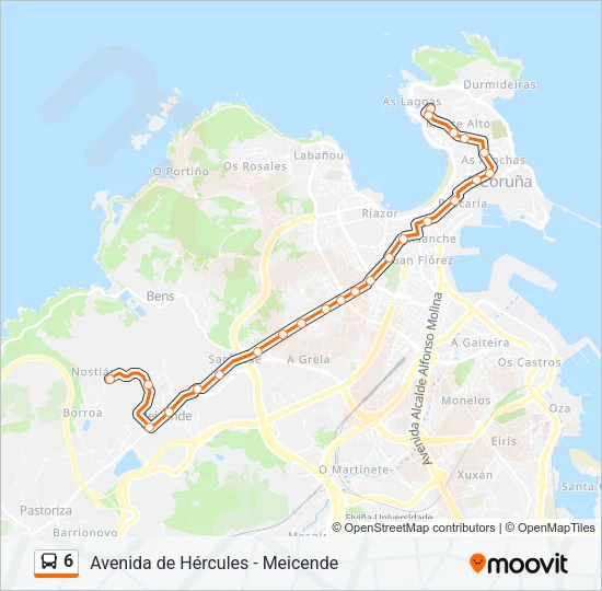 6 Bus Line Map