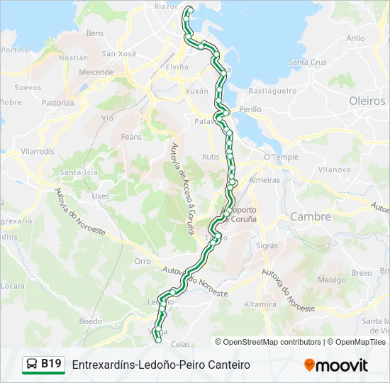 B19 Bus Line Map