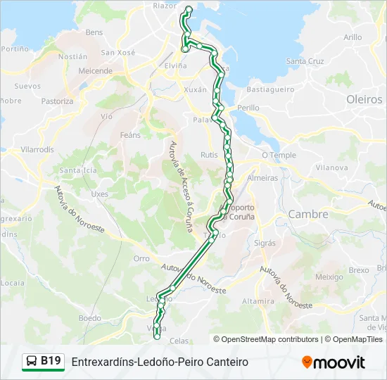B19 Bus Line Map
