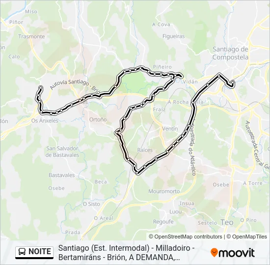 NOITE Bus Line Map