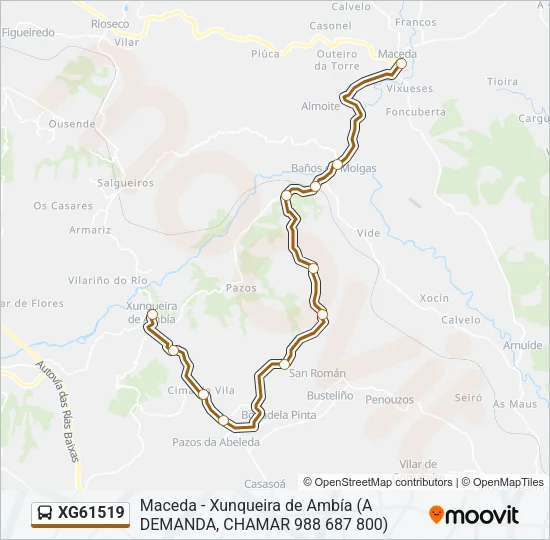 XG61519 Bus Line Map