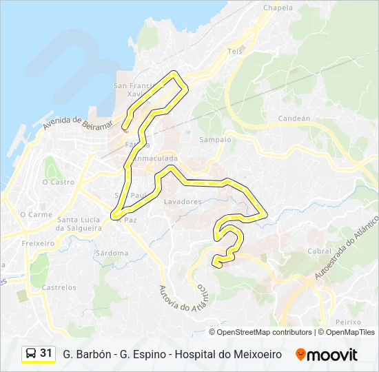 31 Bus Line Map