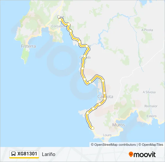 XG81301 Bus Line Map