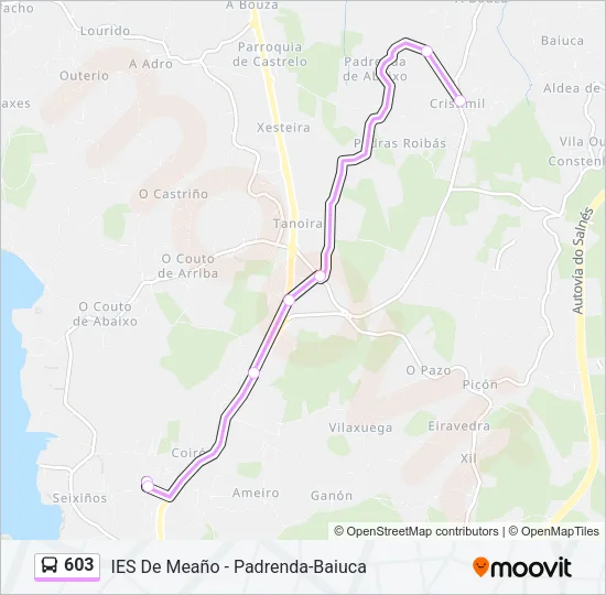 603 Bus Line Map