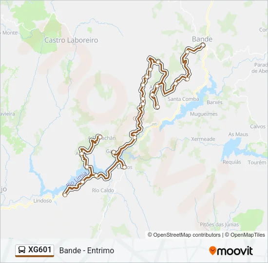XG601 Bus Line Map