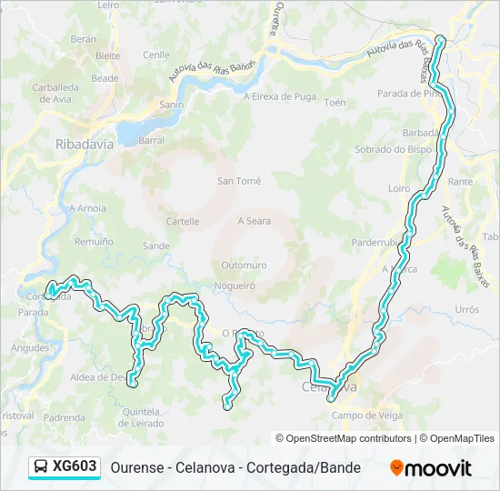 XG603 Bus Line Map
