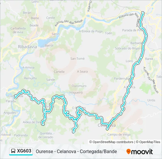XG603 Bus Line Map