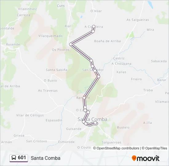 601 Bus Line Map