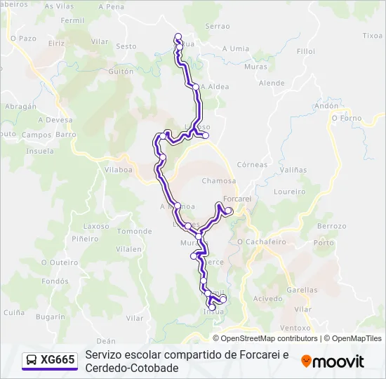 XG665 Bus Line Map