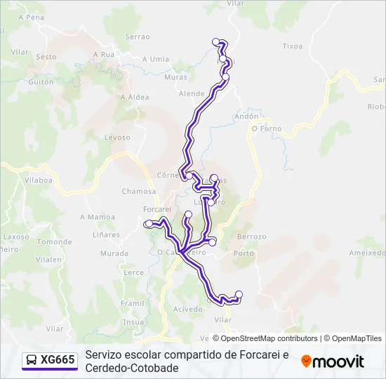 XG665 Bus Line Map