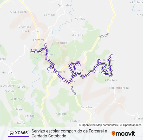 XG665 Bus Line Map