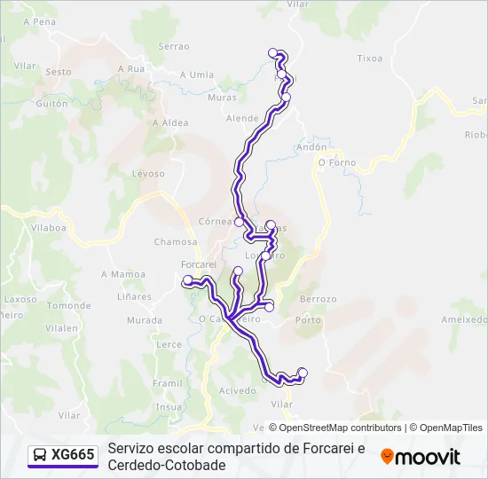 XG665 Bus Line Map