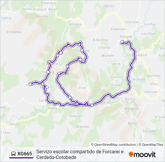 XG665 Bus Line Map