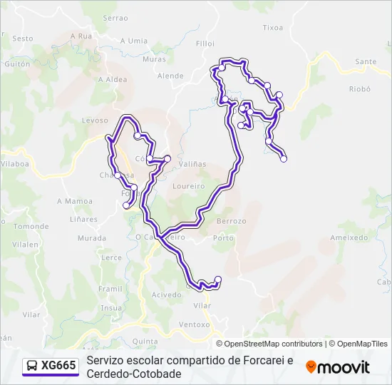 XG665 Bus Line Map