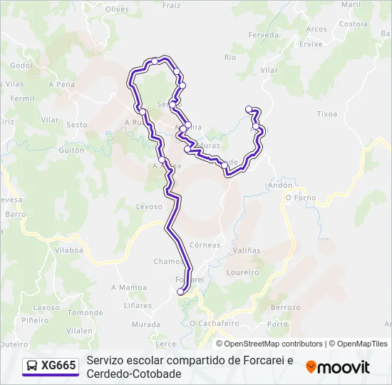 XG665 Bus Line Map