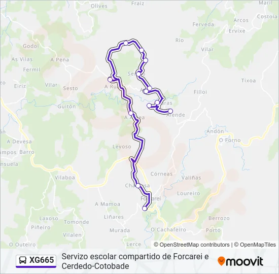XG665 Bus Line Map