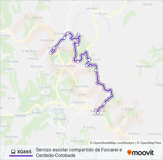 XG665 Bus Line Map