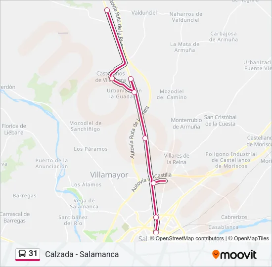 31 Bus Line Map