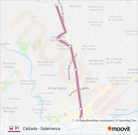 31 Bus Line Map