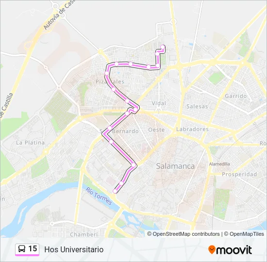 15 Bus Line Map