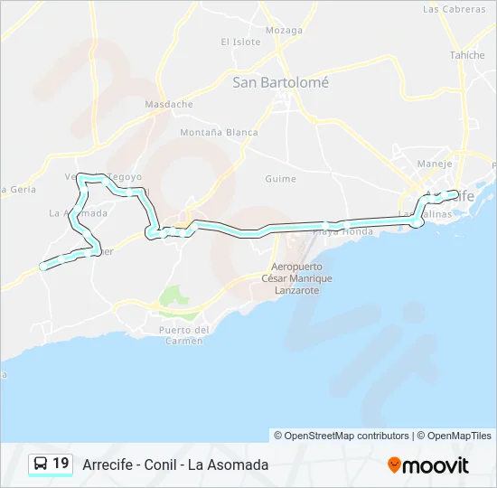 19 Bus Line Map