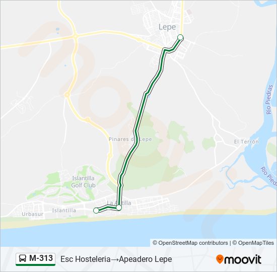 Mapa de M-313 de autobús