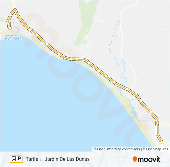 P Bus Line Map