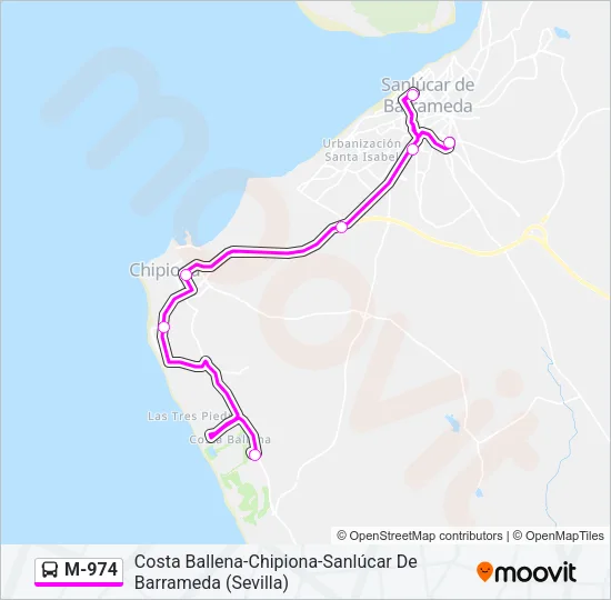 M-974 Bus Line Map