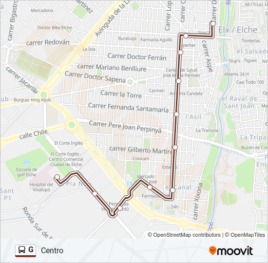 G bus Line Map