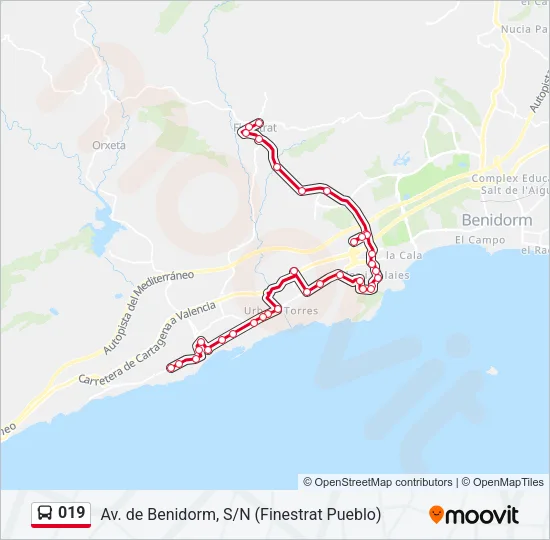 019 Bus Line Map