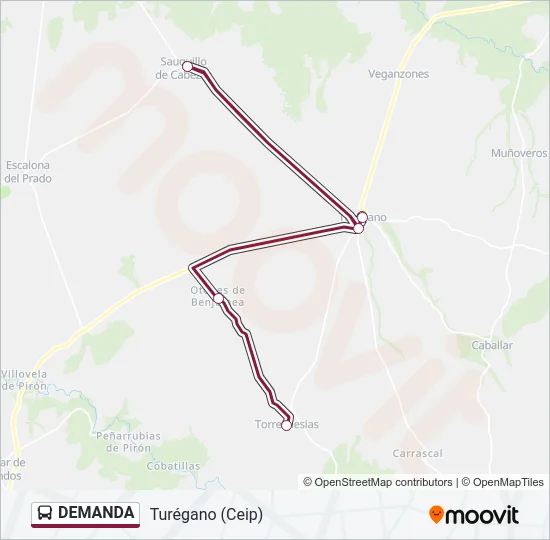 DEMANDA Bus Line Map